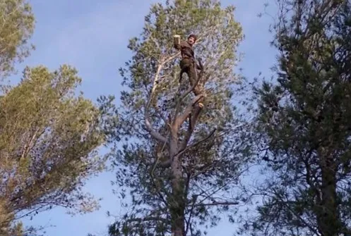 Photo en cours de réalisation